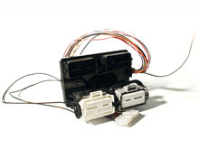 MazdaSPEED3, Mazda, Speed, 3, Engine Management, Tuning, PNP Harness, cp-e